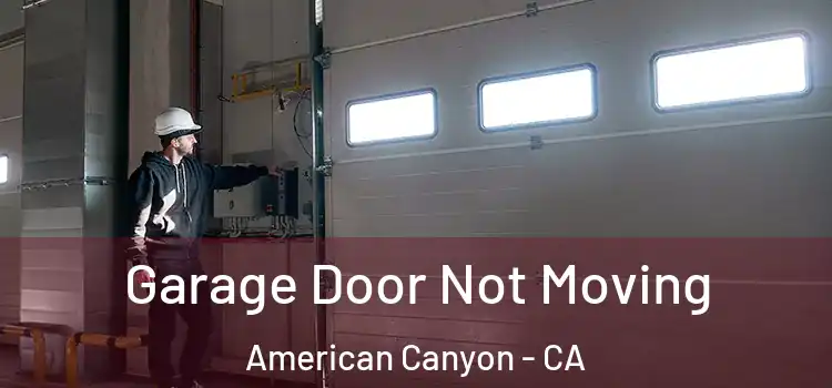  Garage Door Not Moving American Canyon - CA