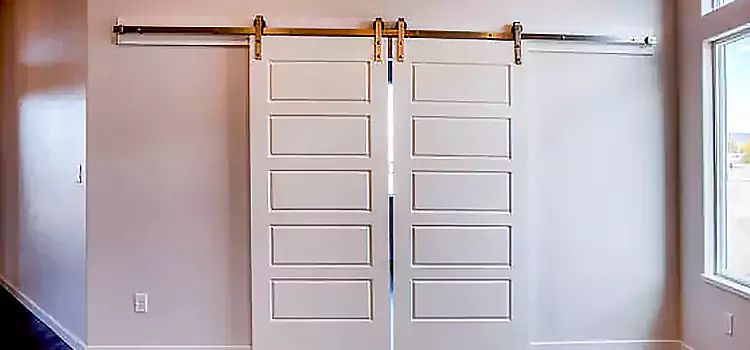 Glass Barn Door with Installation Hardware Kit American Canyon